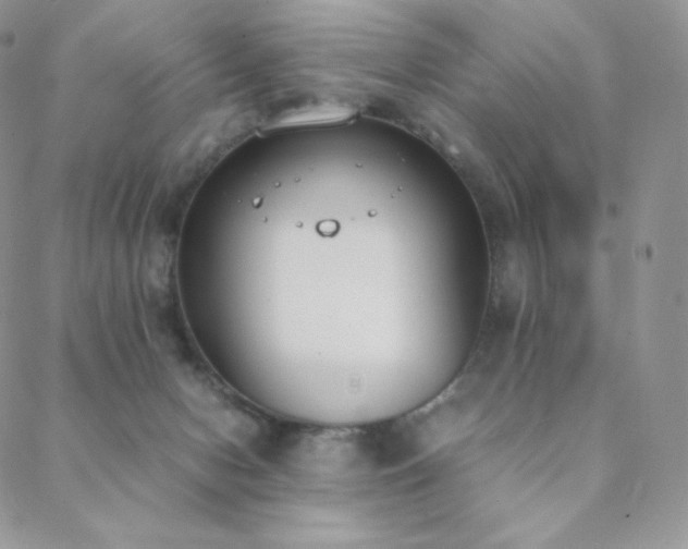 X0000089400078200706151237