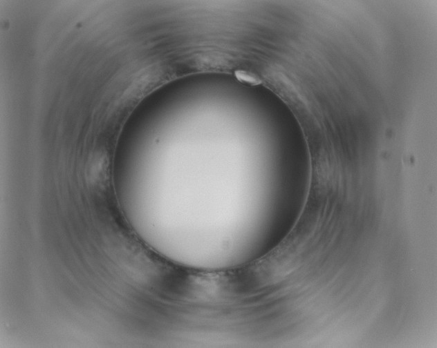 X0000089400079200706151237