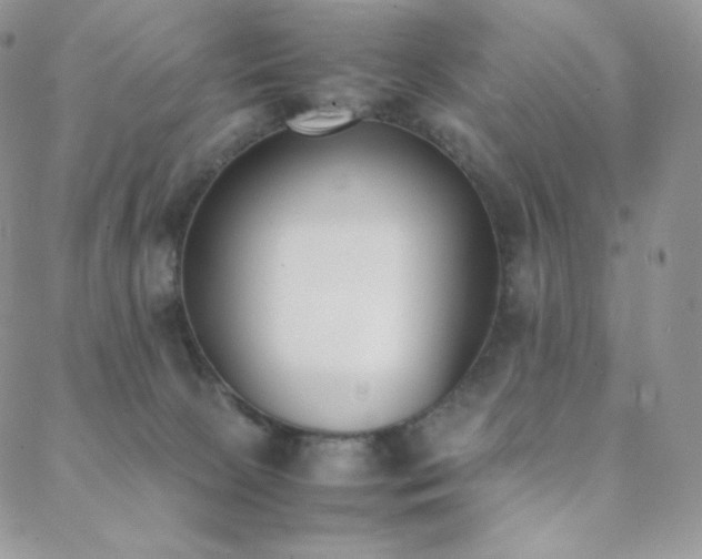 X0000089400081200706151237