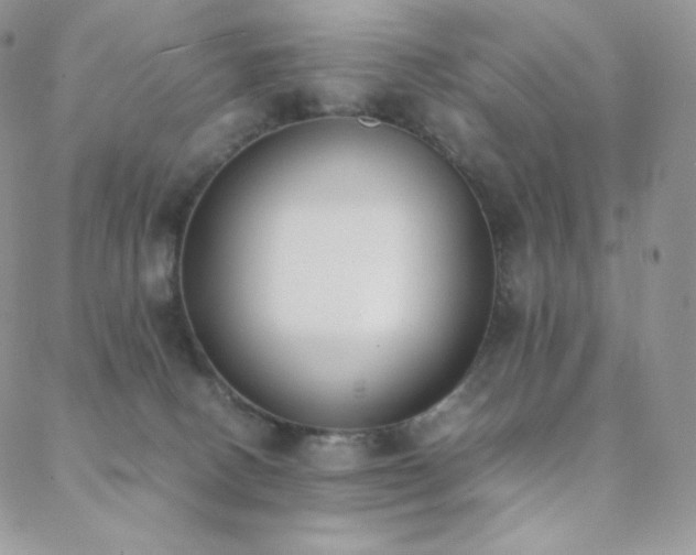 X0000089400082200706151237