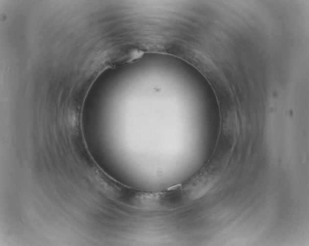 X0000089400084200706151237