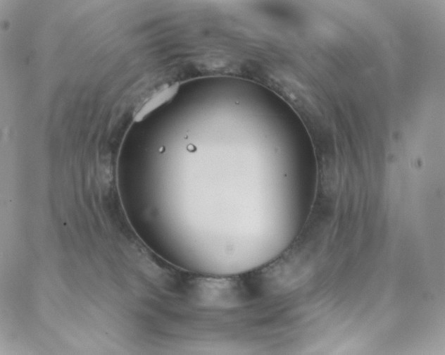 X0000089400085200706151237