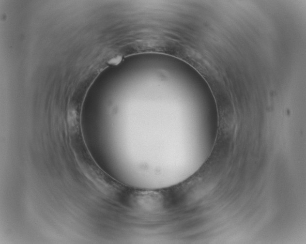 X0000089400087200706151237