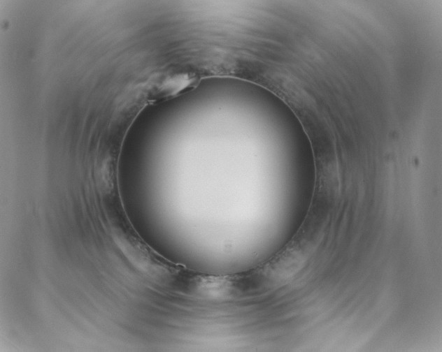 X0000089400088200706151237