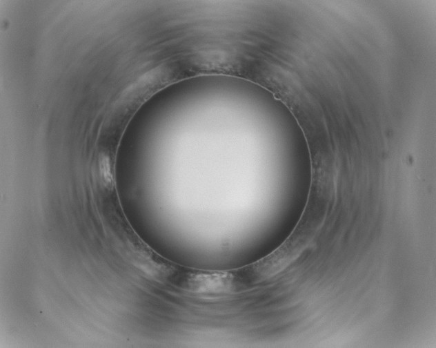 X0000089400089200706151237