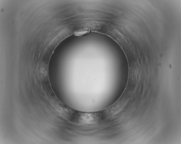 X0000089400091200706151237