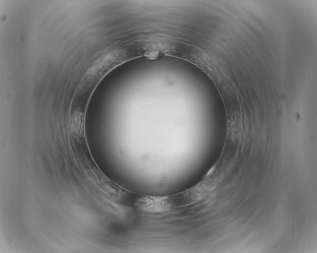 X0000089400093200706151237