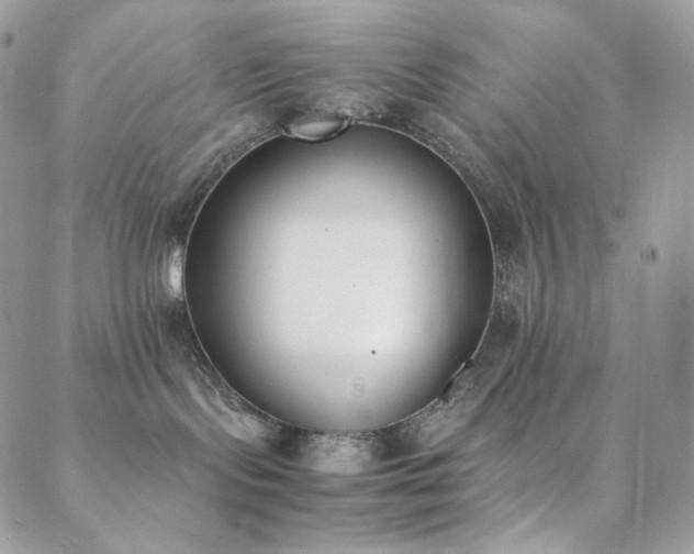 X0000089400095200706151237