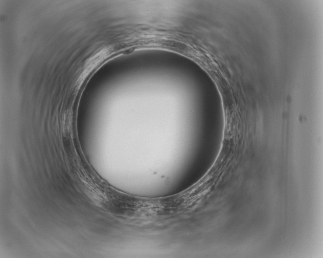 X0000089400099200706151237