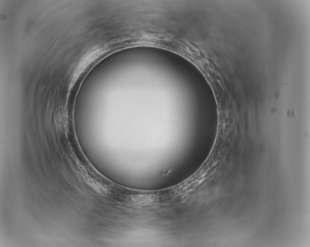 X0000089400102200706151237