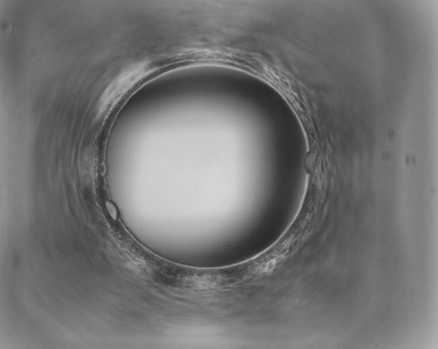 X0000089400103200706151237