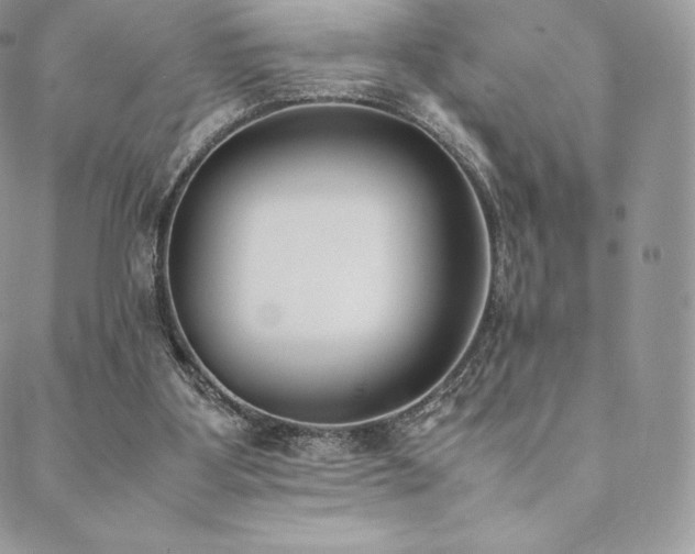 X0000089400107200706151236