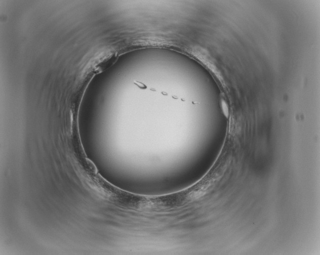 X0000089400109200706151236