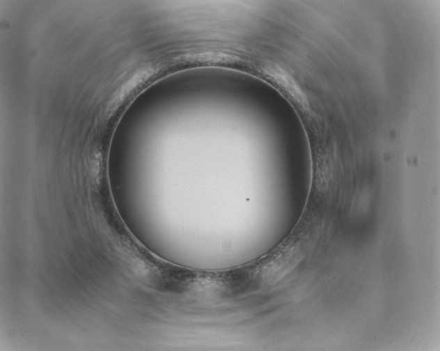 X0000089400111200706151236