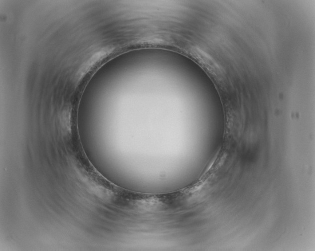 X0000089400112200706151236