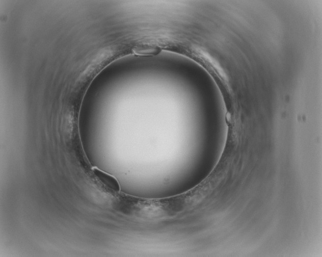 X0000089400113200706151236