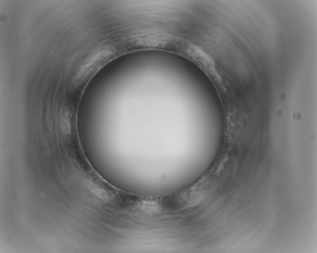 X0000089400114200706151236