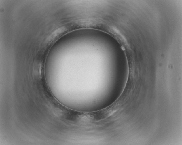 X0000089400115200706151236