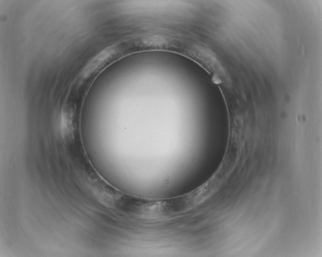 X0000089400116200706151236