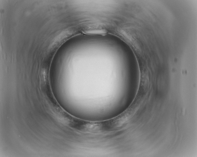 X0000089400117200706151236