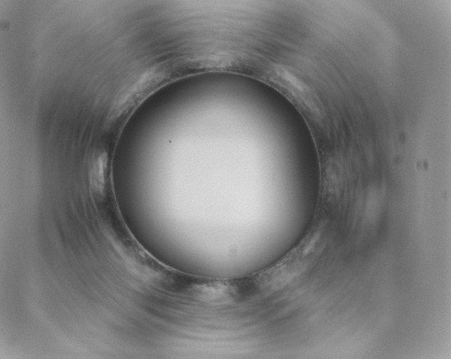 X0000089400118200706151236