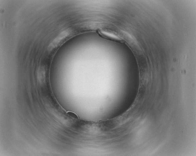 X0000089400120200706151236