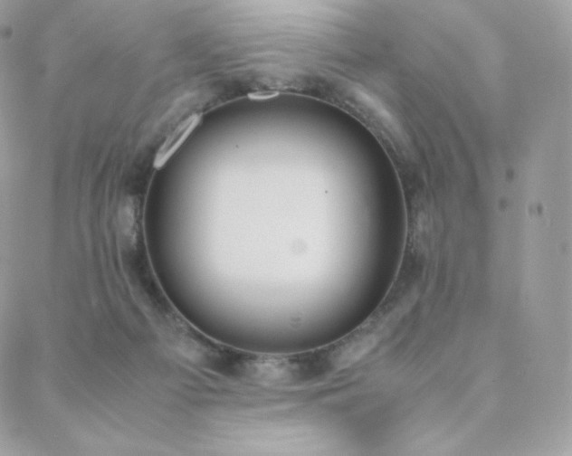 X0000089400121200706151236