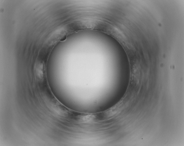 X0000089400122200706151236