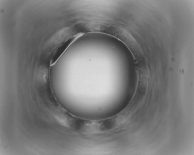 X0000089400125200706151236