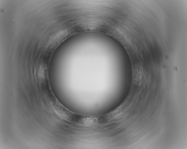 X0000089400126200706151236