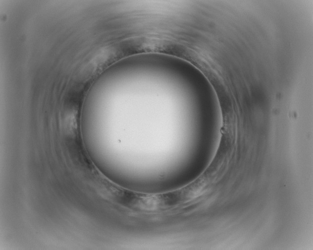 X0000089400127200706151236