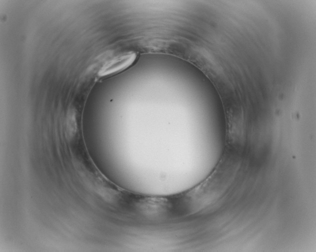 X0000089400128200706151236