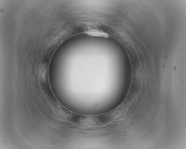 X0000089400129200706151236