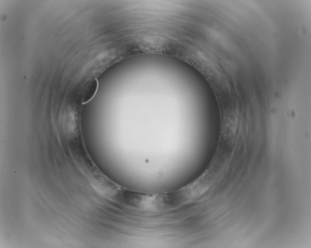 X0000089400130200706151236