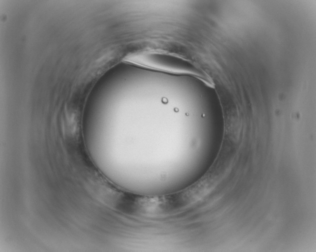 X0000089400131200706151236