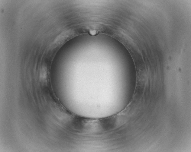 X0000089400132200706151236