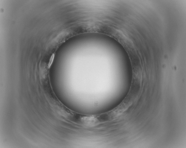 X0000089400133200706151236