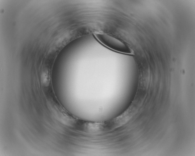 X0000089400134200706151236