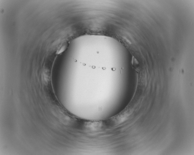 X0000089400135200706151236