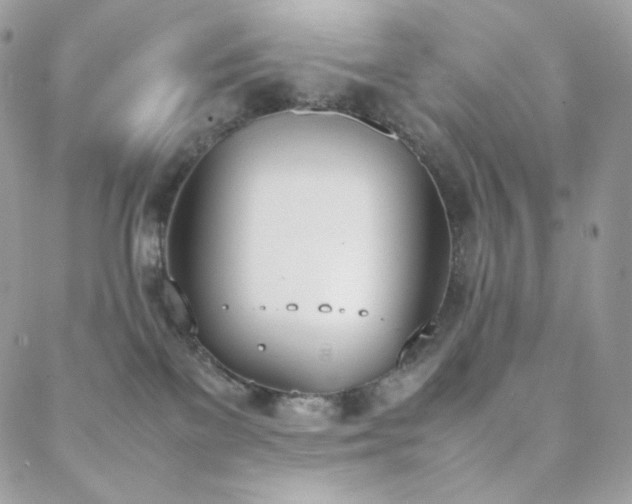 X0000089400137200706151236