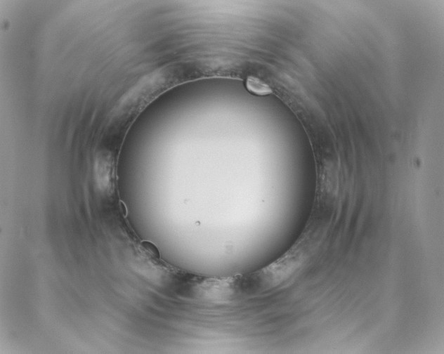 X0000089400138200706151236