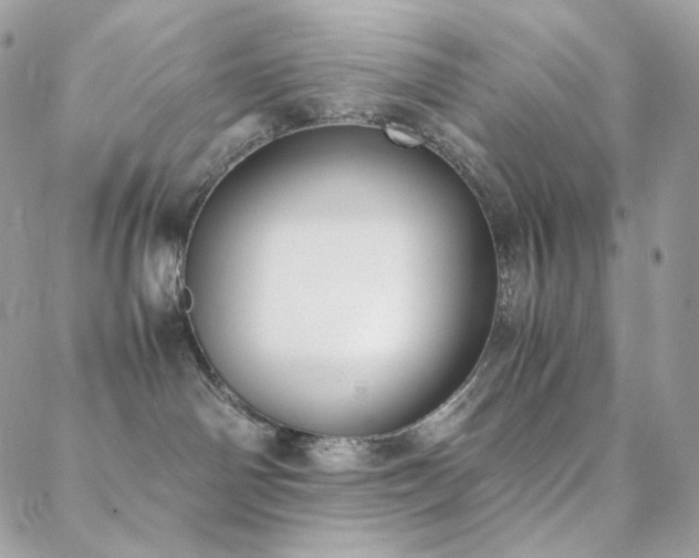 X0000089400142200706151236