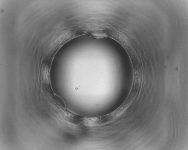 X0000089400143200706151236