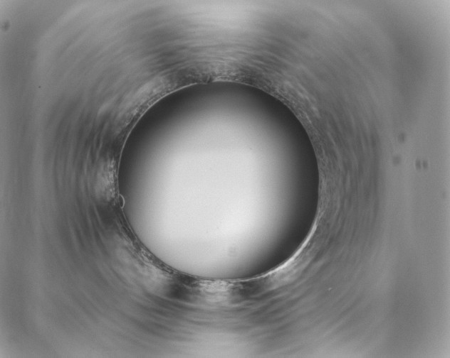 X0000089400144200706151236