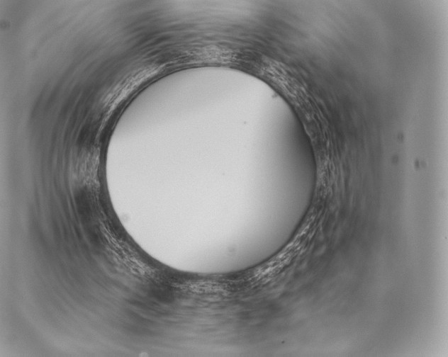 X0000089400146200706151235