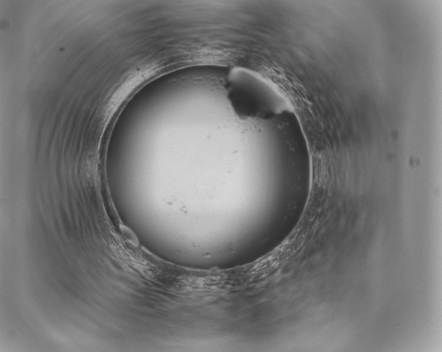 X0000089400147200706151235