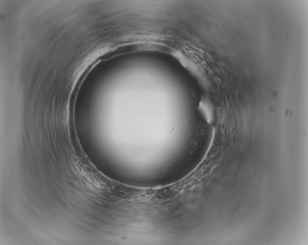 X0000089400148200706151235