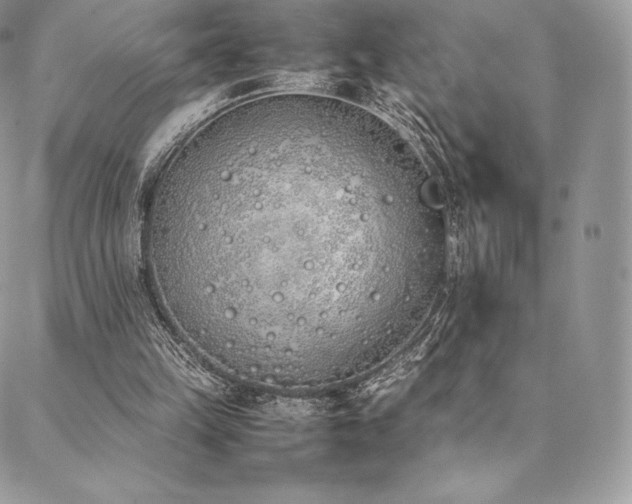 X0000089400149200706151235