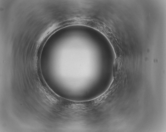 X0000089400150200706151235