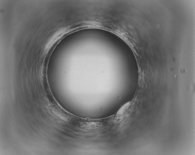 X0000089400151200706151235